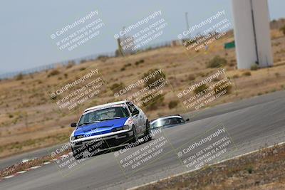 media/May-03-2025-Lucky Dog Racing (Sat) [[206de64b9d]]/Turn 6 (150pm-230pm)/